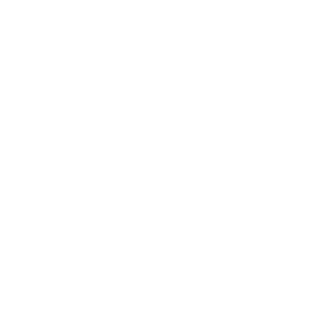 DRL Performance Logo